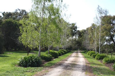 14 Acres ~ 'Lifestyle Retreat' Picture