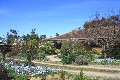 14 Acres ~ 'Lifestyle Retreat' Picture