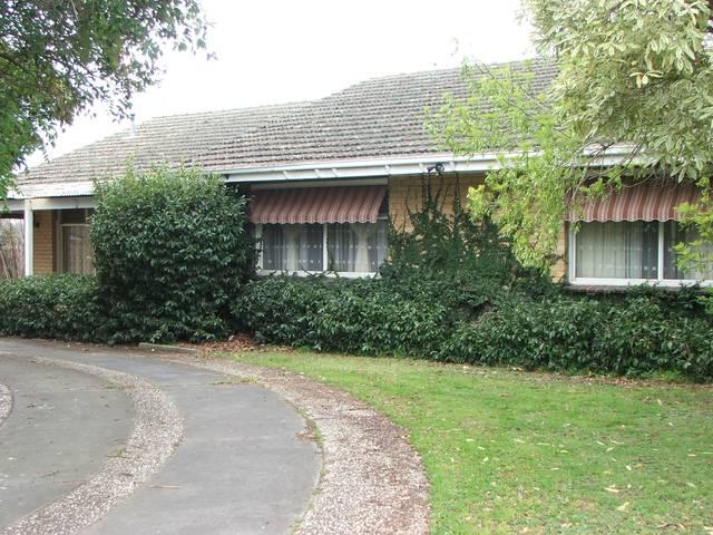 Close to town centre Picture 1