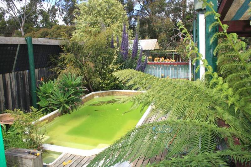 Position Perfect ~ 1/4 Acre Picture 3