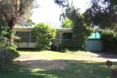 'One Tree' Cottage Picture