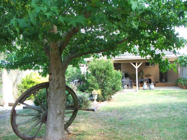 1/4 Acre +....Capture The Warmth Picture 3