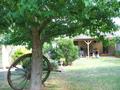 1/4 Acre +....Capture The Warmth Picture