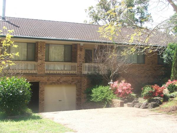 So Many Extras! Picture 1