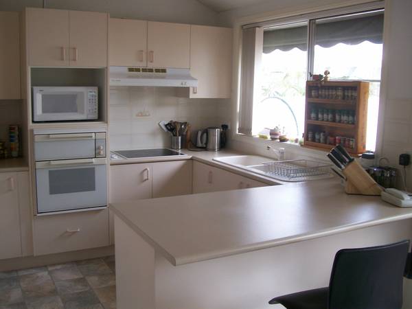 Immaculate Unit Picture 2