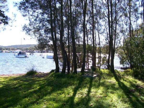 GRAB THIS NOW! Picture 2