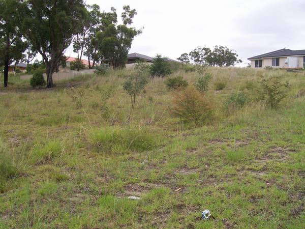 Build your dream home! Picture 1