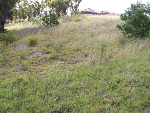 Build your dream home! Picture 3