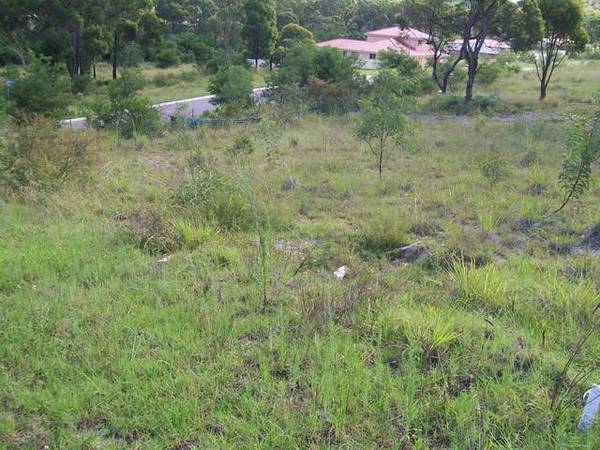 Great opportunity! Picture 1