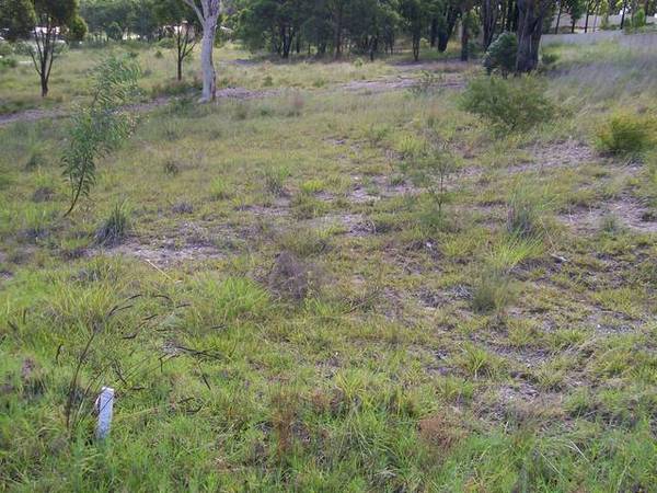 Great opportunity! Picture 2