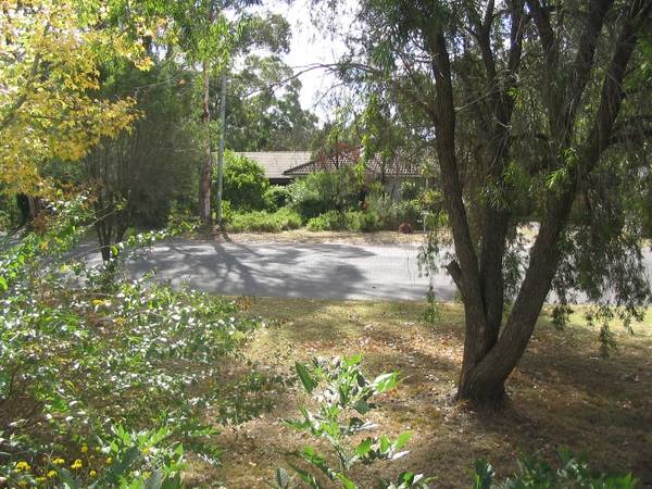 Cheaper Than a Unit!! Picture 3