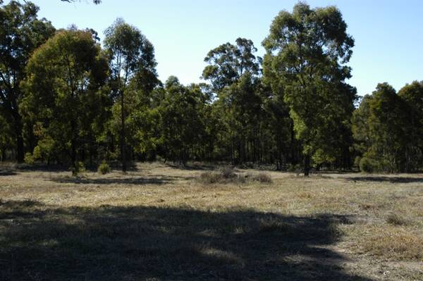 7.04 Acres Picture 1