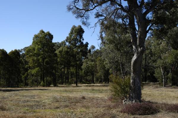 7.04 Acres Picture 3