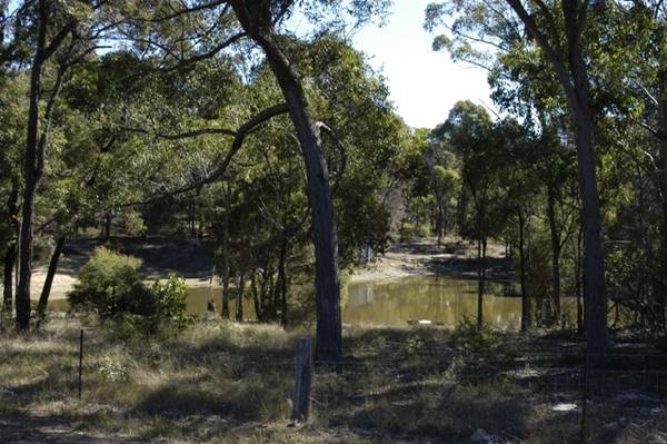 7.04 Acres Picture 2