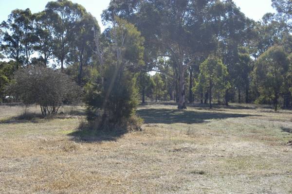 8 1/4 acres Picture 3