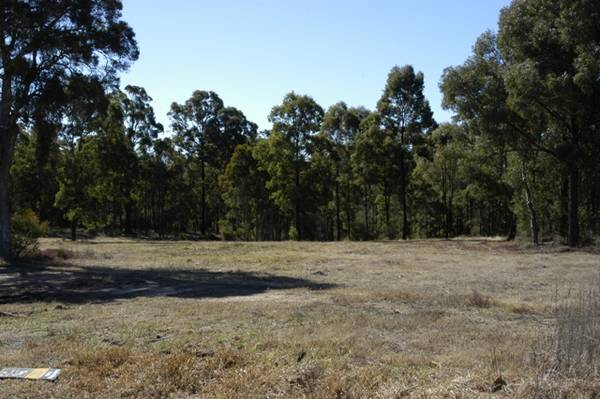 8 1/4 acres Picture 2