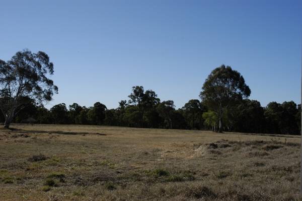 Absolutely Superb 5 acres Picture 3