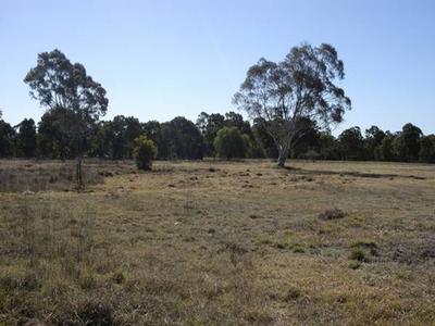 Absolutely Superb 5 acres Picture