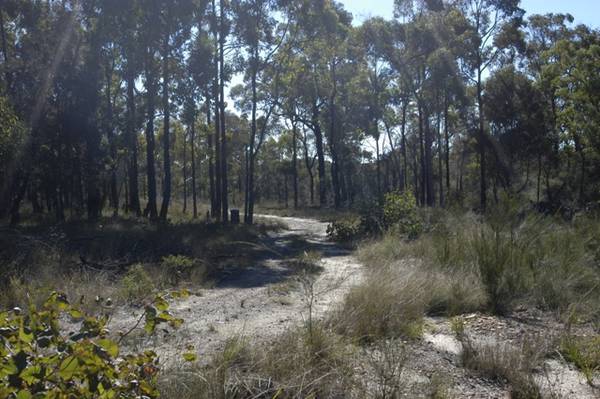 Extremely Rare Commodity - 30.45 acres Picture 3