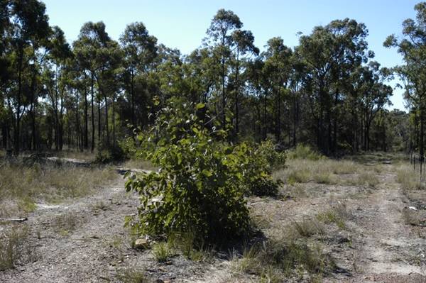 Extremely Rare Commodity - 30.45 acres Picture 2