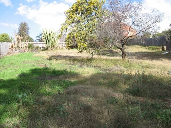 Invest Now! Picture 3