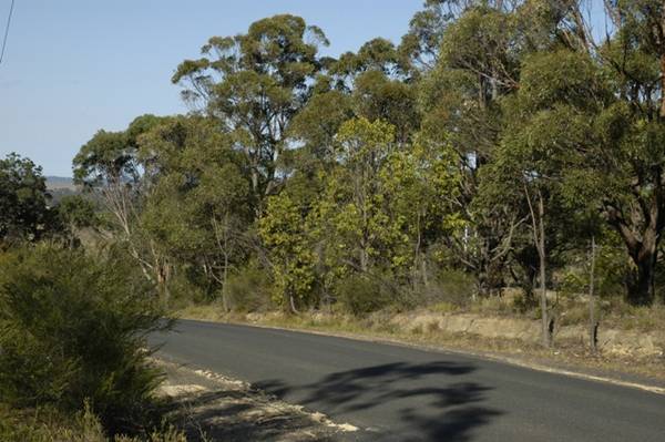 Magnificent Outlook Picture 2