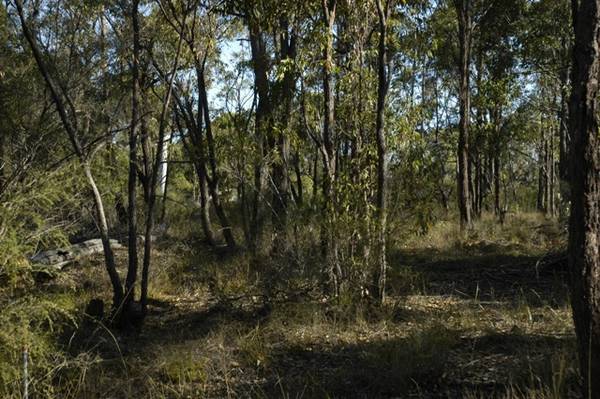 Magnificent Outlook Picture 1