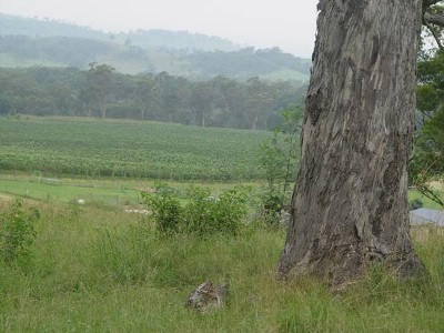 Prominent Location Picture