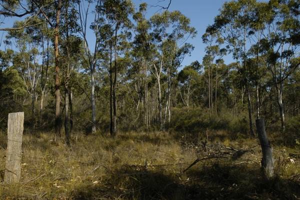 Superb Near Level Block Picture 1