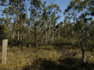 Superb Near Level Block Picture