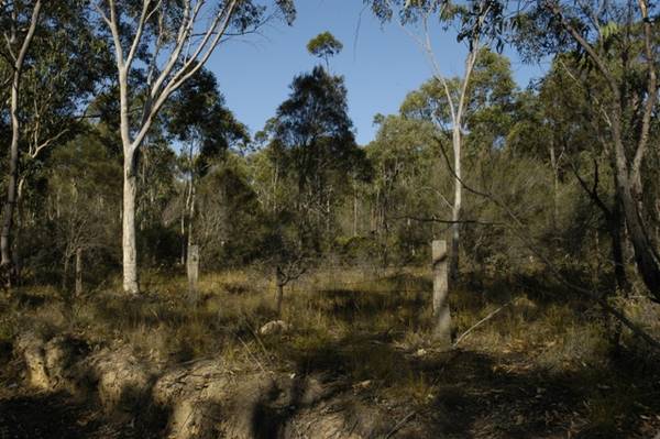 Superb Near Level Block Picture 2