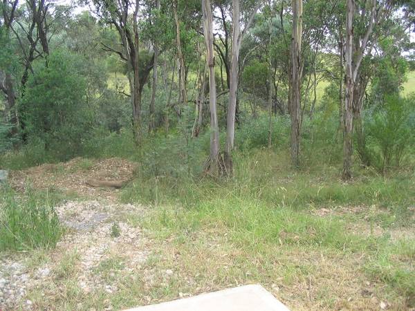 Vacant Block 2136m2 Picture 2