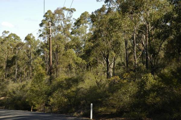 Views To Spare Picture 1