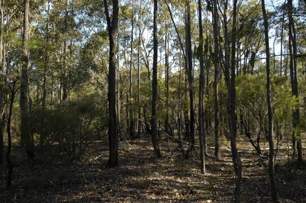 Views To Spare Picture 2