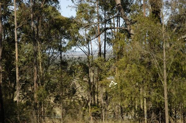 Views To Spare Picture 3