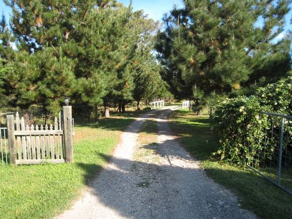 Country Style Home - 7 Acres Picture 3