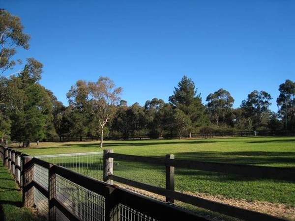 Dogs Or Horses..? 2.8 Acres Picture 3