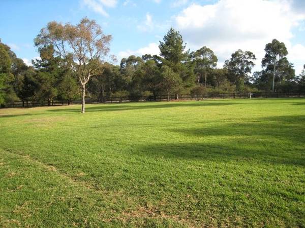 Dogs Or Horses..? 2.8 Acres Picture 2