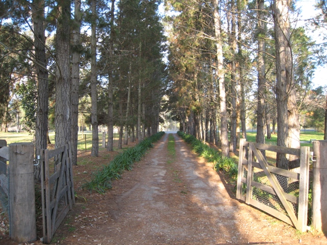 What A Lifestyle!...5 Acres Picture 1