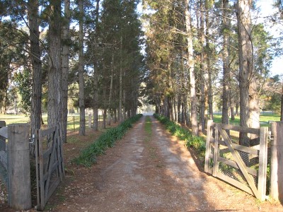 What A Lifestyle!...5 Acres Picture What A Lifestyle!...5 Acres Picture