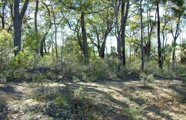 MUST SELL!! Picture 2