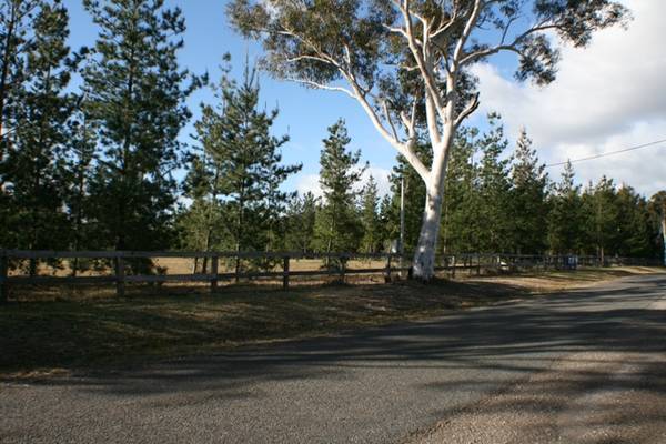 What a great 6 ½ Acres!! Picture 2