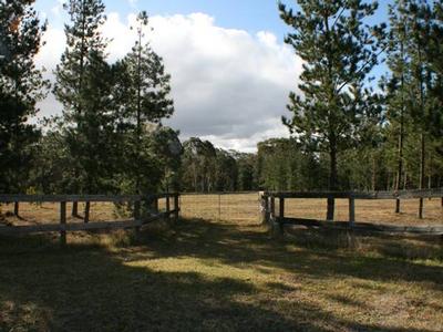 What a great 6 ½ Acres!! Picture