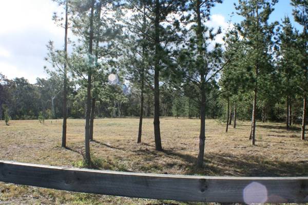 What a great 6 ½ Acres!! Picture 3