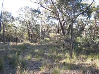 Privacy & Seclusion - Over 4 Acres Picture