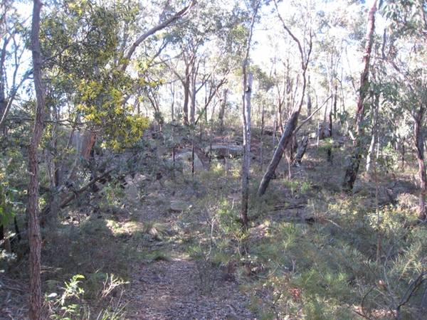 Privacy & Seclusion - Over 4 Acres Picture 3