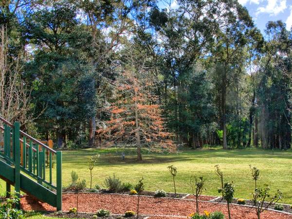 "Turpentine Row" 5 Acres Picture 2