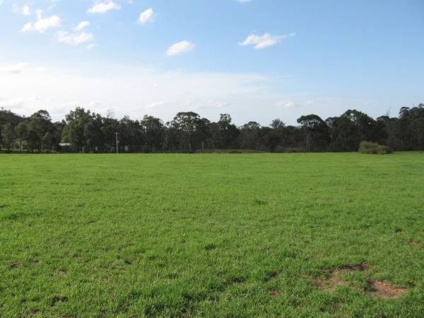 Rural Paradise - 5 Acres Picture 2