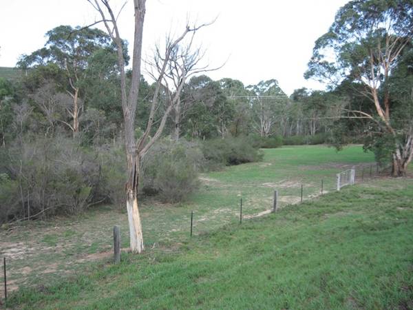 Rural Paradise - 5 Acres Picture 3