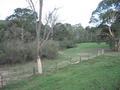 Rural Paradise - 5 Acres Picture